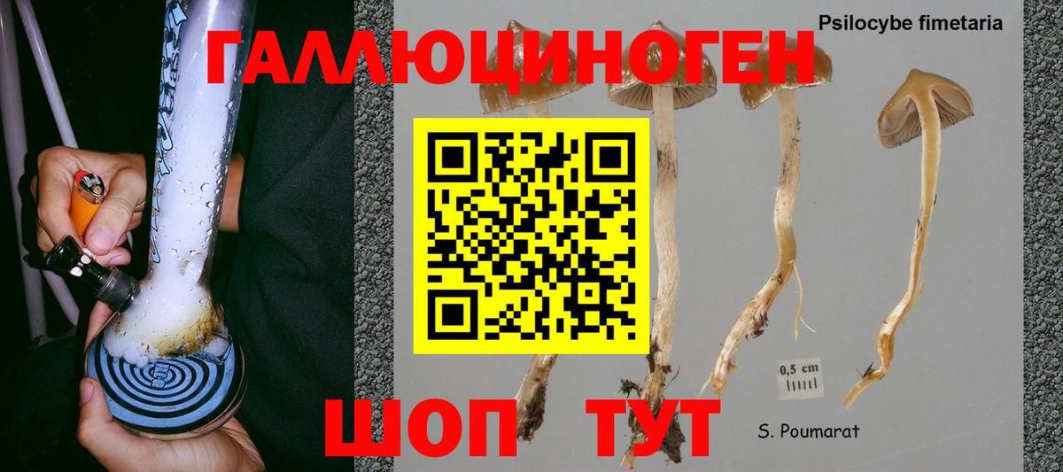 Псилоцибиновые грибы GOLDEN TEACHER Балабаново